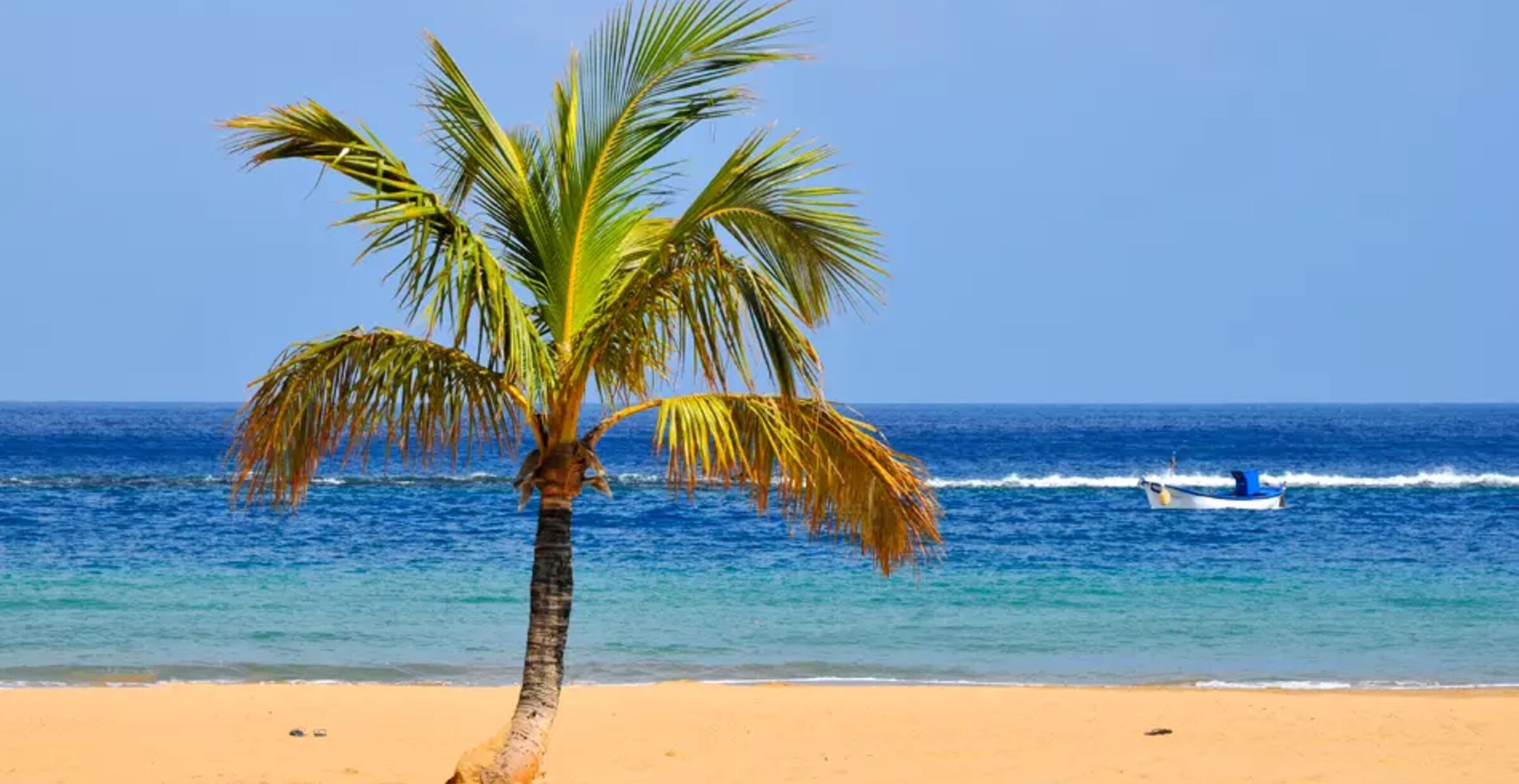 Charterreiser til Playa de la Arena, Tenerife