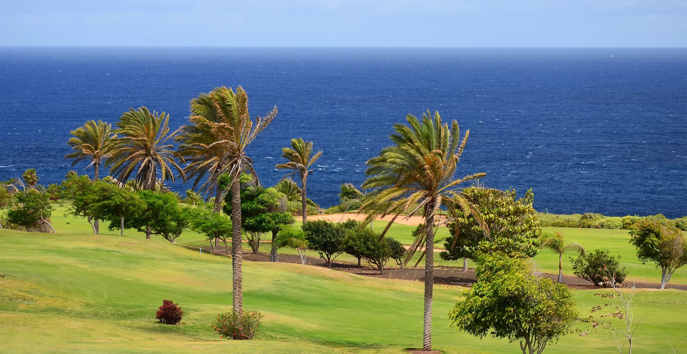 Charterreiser til Buenavista del Norte, Tenerife