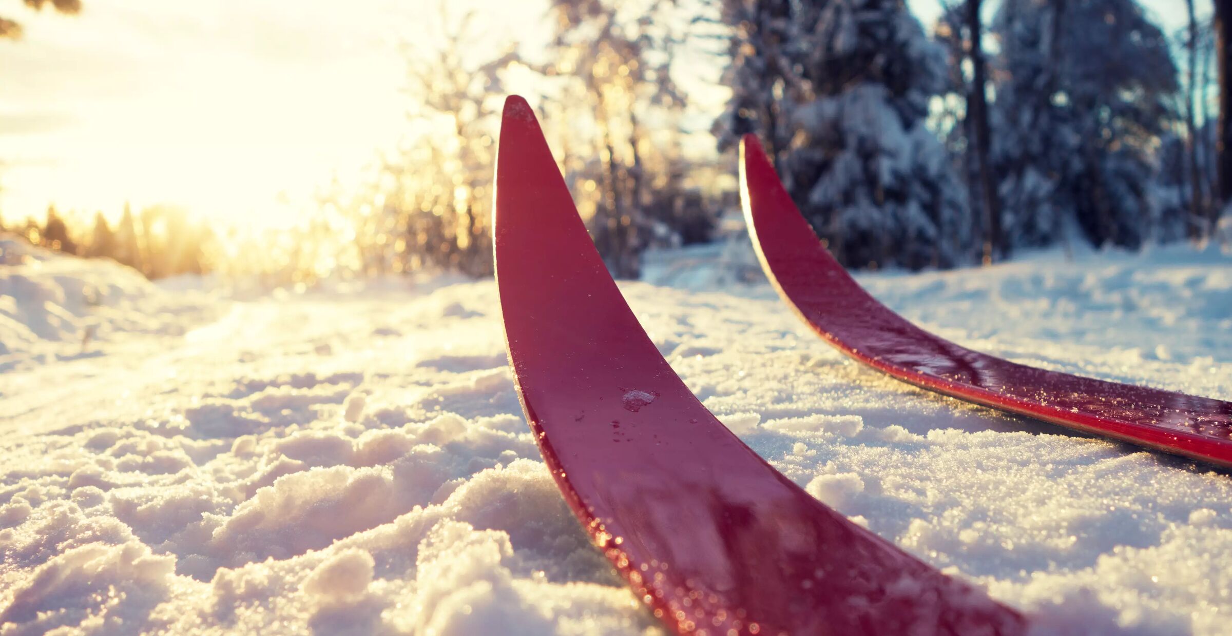 Skireiser till hela världen