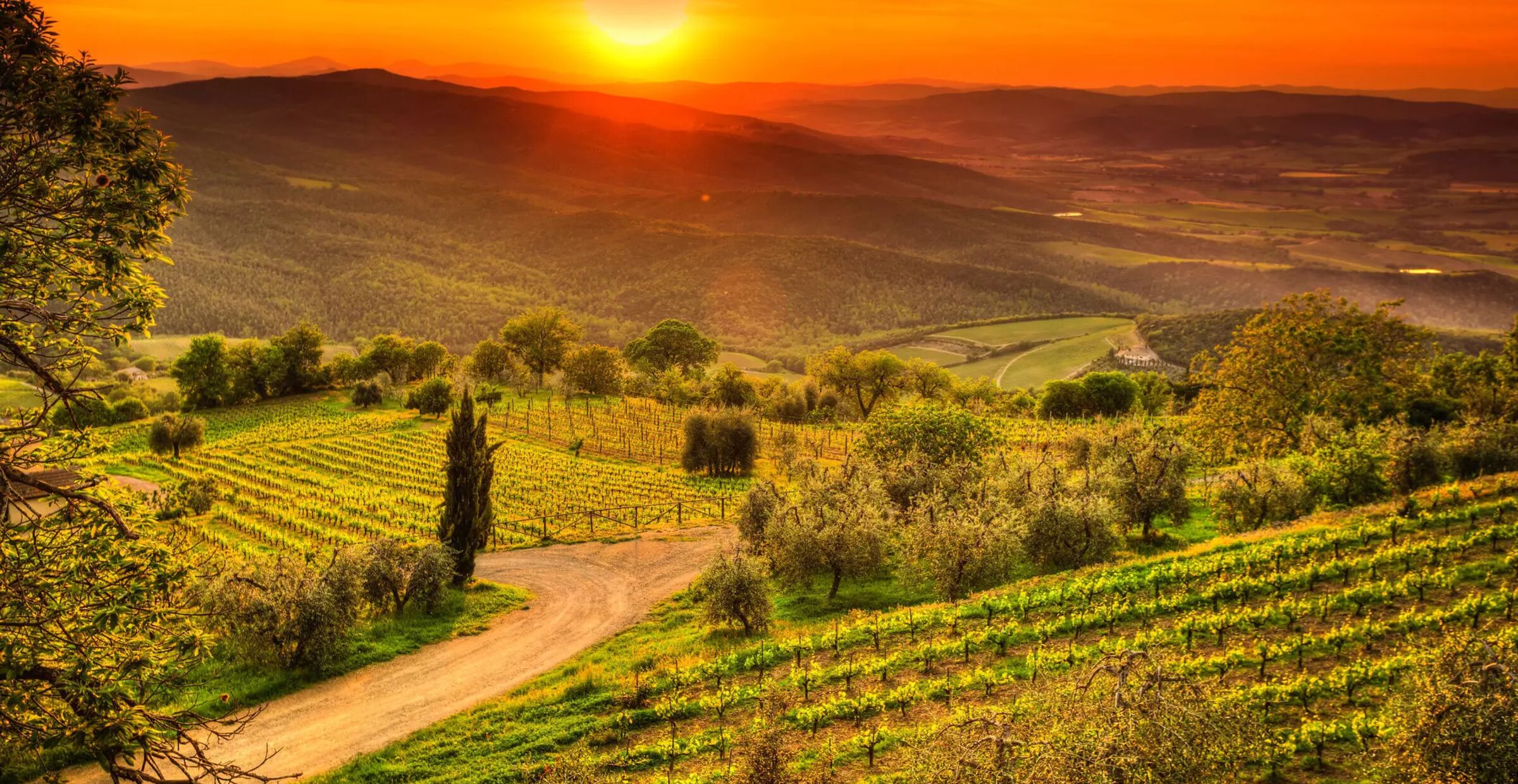 Finn leiebil i Toscana